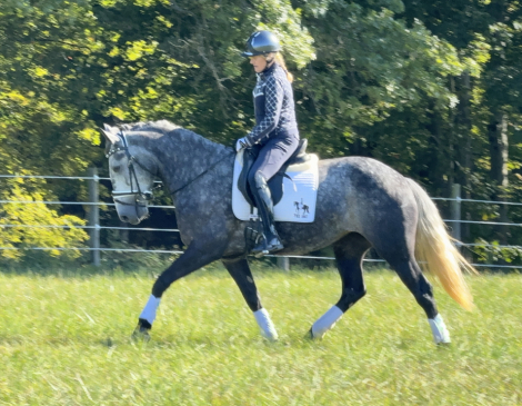 HorseID: 2301932 Tra La La - PhotoID: 1083947