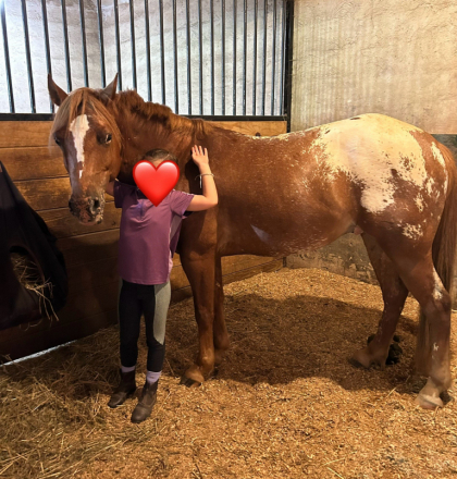 HorseID: 2301947 Pump Me Up - PhotoID: 1083975