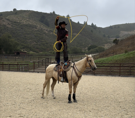 HorseID: 2301955 Kings Payday Bar - PhotoID: 1083986