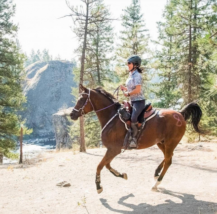 HorseID: 2301981 HYR Khash N In - PhotoID: 1084021