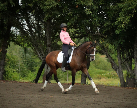 HorseID: 2301992 Quinivere - PhotoID: 1084029