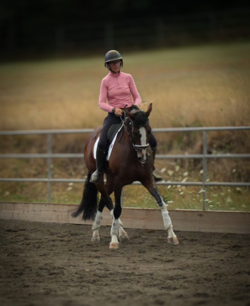 HorseID: 2301992 Quinivere - PhotoID: 1084031