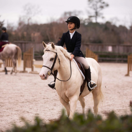 HorseID: 2301995 The Single Rose - PhotoID: 1084035