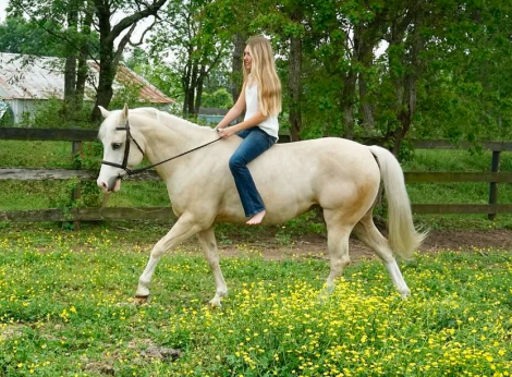 HorseID: 2301995 The Single Rose - PhotoID: 1084036