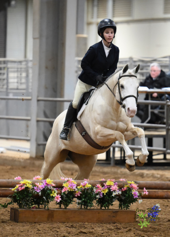 HorseID: 2301995 The Single Rose - PhotoID: 1084037