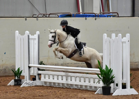 HorseID: 2301995 The Single Rose - PhotoID: 1084038