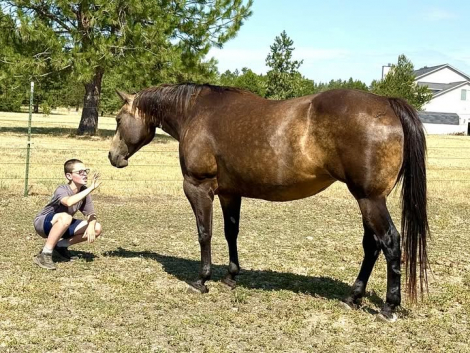 HorseID: 2302010 MOLLY BE DUN - PhotoID: 1084069