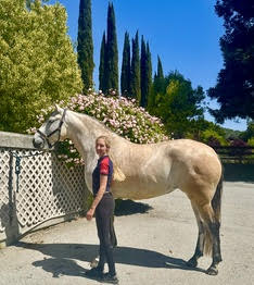 HorseID: 2302039 Ophelia - PhotoID: 1084100