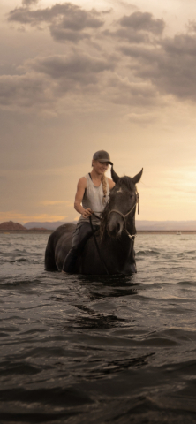 HorseID: 2302042 dePlumm's Maverick - PhotoID: 1096189
