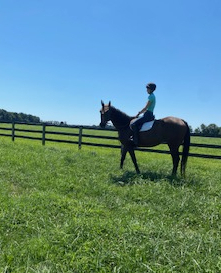 HorseID: 2302065 Acker - PhotoID: 1084134