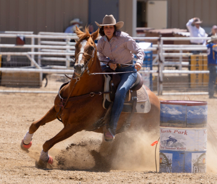 HorseID: 2302074 Flashy Meter Maid - PhotoID: 1084150