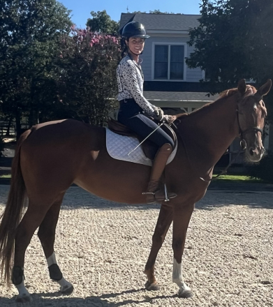 HorseID: 2302075 Indian Bell KP - PhotoID: 1084154