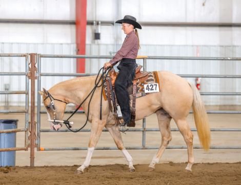 HorseID: 2302077 Sure Good Impression - PhotoID: 1084159