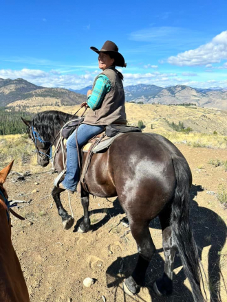 HorseID: 2302089 Stillwater Gem's Black Thunder - PhotoID: 1084163