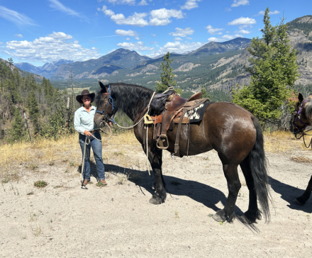 HorseID: 2302089 Stillwater Gem's Black Thunder - PhotoID: 1084164