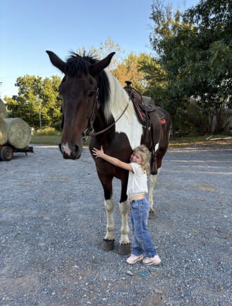 HorseID: 2302097 Barbie - PhotoID: 1084177