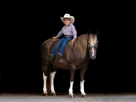 HorseID: 2302102 Woodchuck - PhotoID: 1084184