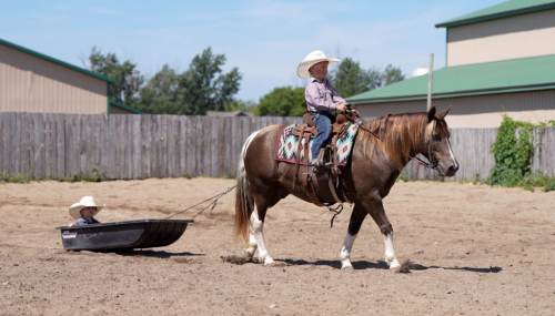HorseID: 2302102 Woodchuck - PhotoID: 1084185