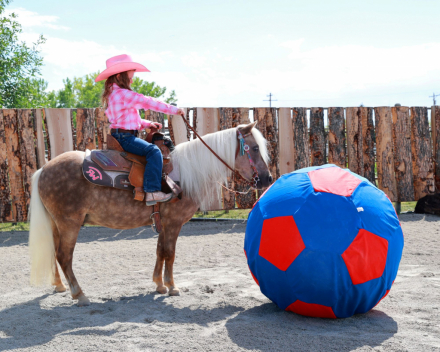 HorseID: 2302104 Starbucks - PhotoID: 1084191