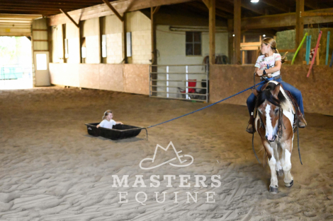 HorseID: 2302105 Watch Video! Trail-Tested & Family-Approved! - PhotoID: 1084197