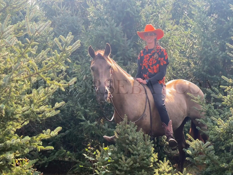 HorseID: 2302109 Backfield’s Legacy - PhotoID: 1084204