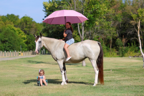 HorseID: 2302128 MELODY - PhotoID: 1099641