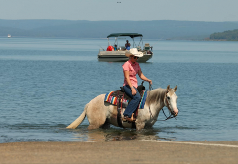 HorseID: 2302130 Snowflake LW - PhotoID: 1084334