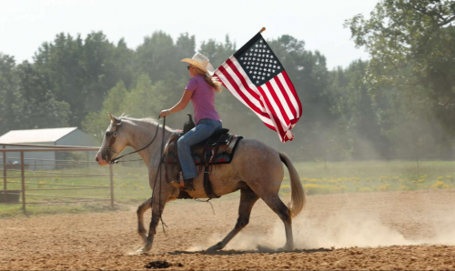 HorseID: 2302130 Snowflake LW - PhotoID: 1084335