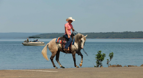 HorseID: 2302130 Snowflake LW - PhotoID: 1084336