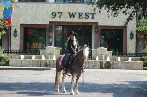 HorseID: 2302132 Bluebell MW - PhotoID: 1084318