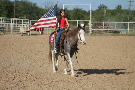 HorseID: 2302132 Bluebell MW - PhotoID: 1084319