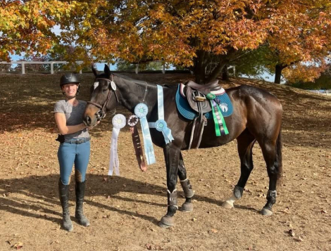 HorseID: 2302163 Twisted Sunset - PhotoID: 1084256