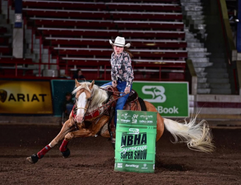 HorseID: 2302189 Crugar Rand - PhotoID: 1084281