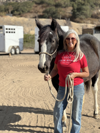 HorseID: 2302192 Belle - PhotoID: 1084285