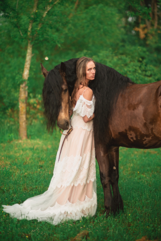 HorseID: 2302201 CBR Hearbreaker - PhotoID: 1084342