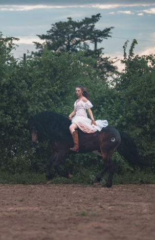 HorseID: 2302201 CBR Hearbreaker - PhotoID: 1084346