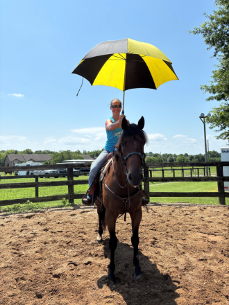 HorseID: 2302220 Hay Sport - PhotoID: 1084400