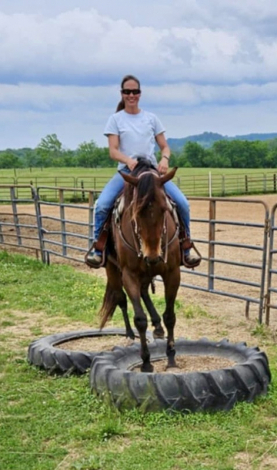 HorseID: 2302220 Hay Sport - PhotoID: 1084401