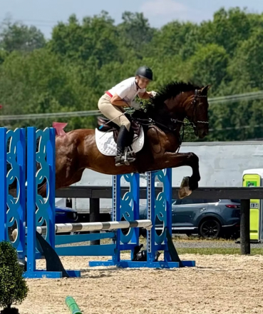 HorseID: 2302226 WAF BlackTie Affair - PhotoID: 1084376