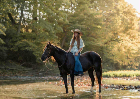 HorseID: 2302227 Ace of Spades - PhotoID: 1084370