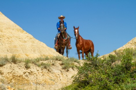 HorseID: 2302227 Ace of Spades - PhotoID: 1084371