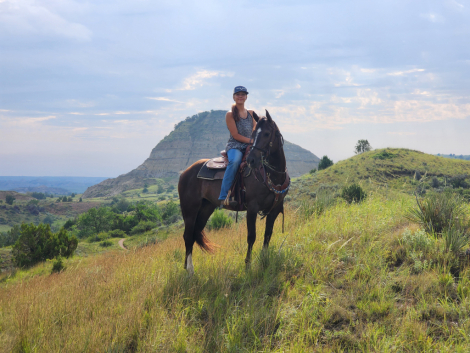 HorseID: 2302227 Ace of Spades - PhotoID: 1084372