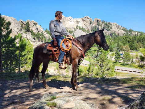 HorseID: 2302227 Ace of Spades - PhotoID: 1084373