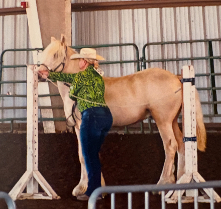 HorseID: 2302250 FSR Chrome’s Frosted Gold - PhotoID: 1084395