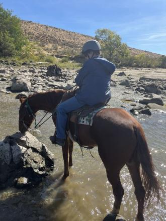 HorseID: 2302277 My Last Hurrah - PhotoID: 1084426