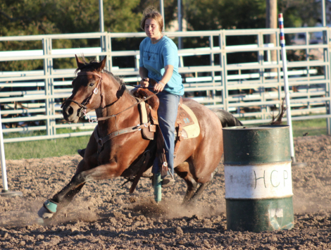 HorseID: 2302311 SPOONIN FOR MONEY - PhotoID: 1084474