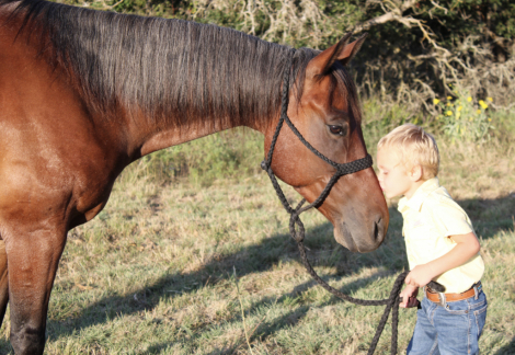 HorseID: 2302311 SPOONIN FOR MONEY - PhotoID: 1084477