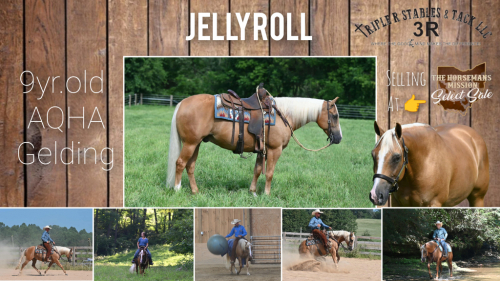 HorseID: 2302336 Yellowboy 1866 - PhotoID: 1084733