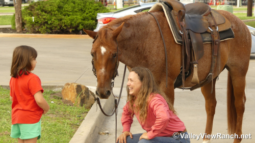 HorseID: 2302351 Deets - PhotoID: 1084551