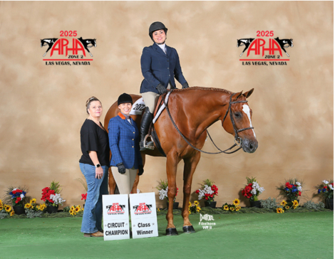 HorseID: 2302372 Supersized Sensation - PhotoID: 1084585